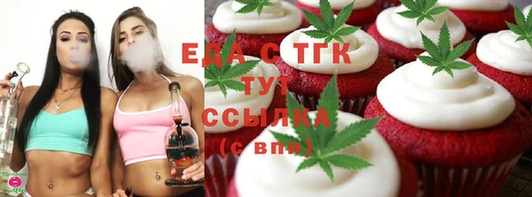 индика Дмитровск