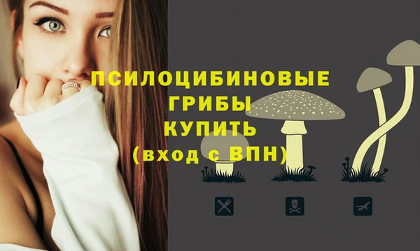 MDMA Premium VHQ Гусь-Хрустальный