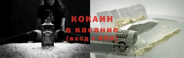 индика Дмитровск