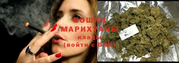 скорость Гусев