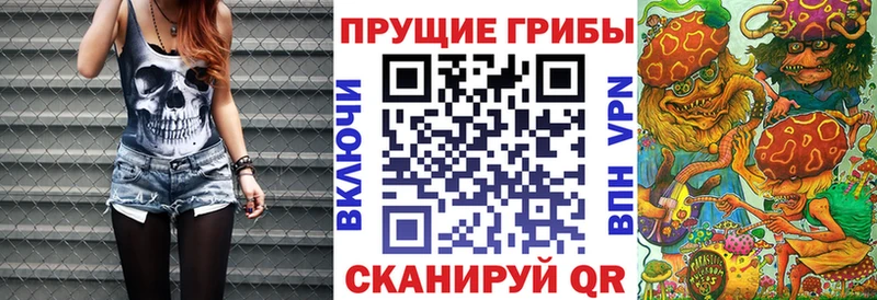 магазин продажи   Пролетарск  Галлюциногенные грибы Psilocybe 